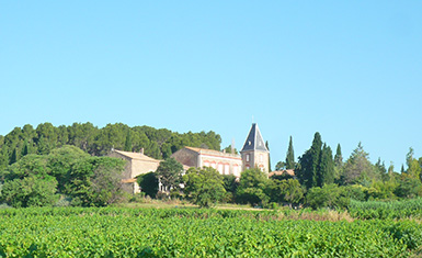 Properties sale and purchase, viticultural estates and farming, vineyards, in Occitanie.