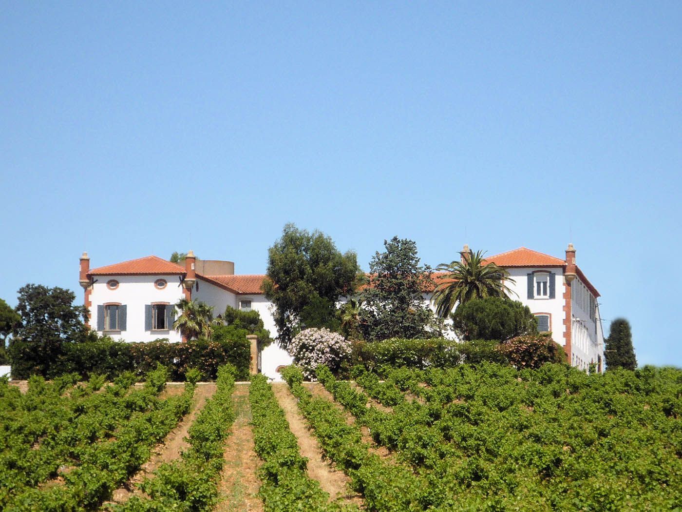 Viticultural property's view