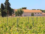Domaine viticole à vendre en Languedoc