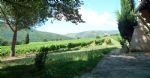Vignoble d’altitude en région Occitanie, superbes vues panoramiques, domaine viticole en IGP Languedoc