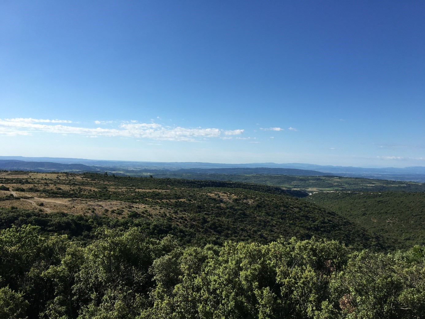 Appellation Gard