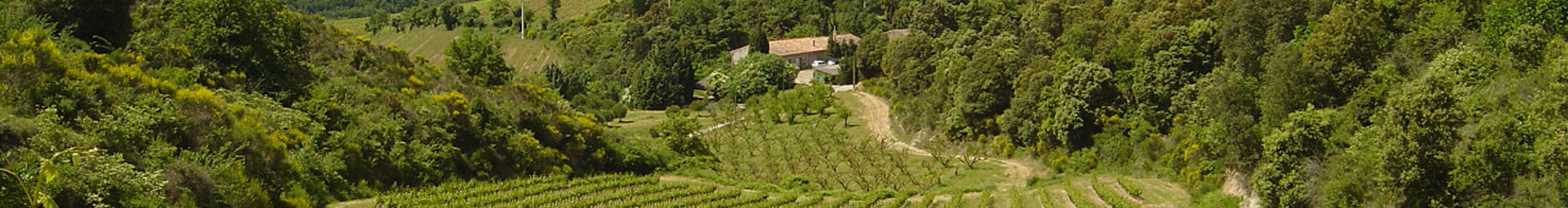 Les Chemins du Sud - Wine estate and property sale