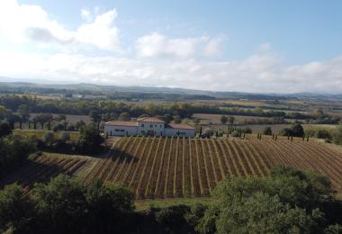 sale  hobby vineyard estate languedoc hérault Countryside