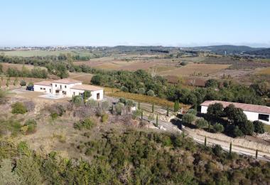 sale  vineyard estate languedoc way