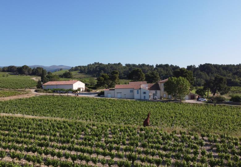 Domaine viticole à vendre La livinière Vignoble