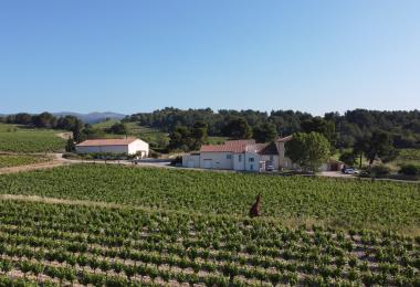 Domaine viticole à vendre La livinière Vignoble