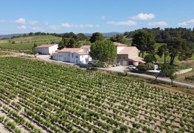 Domaine viticole à vendre Minervois La livinière