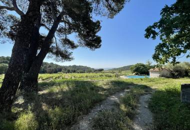 vente-domaine-viticole-bio-Herault languedoc piscine