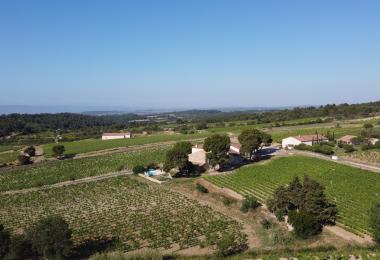 Vue du domaine viticole bio Hérault