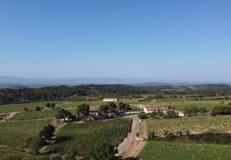domaine-viticole-bio a vendre-Herault languedoc