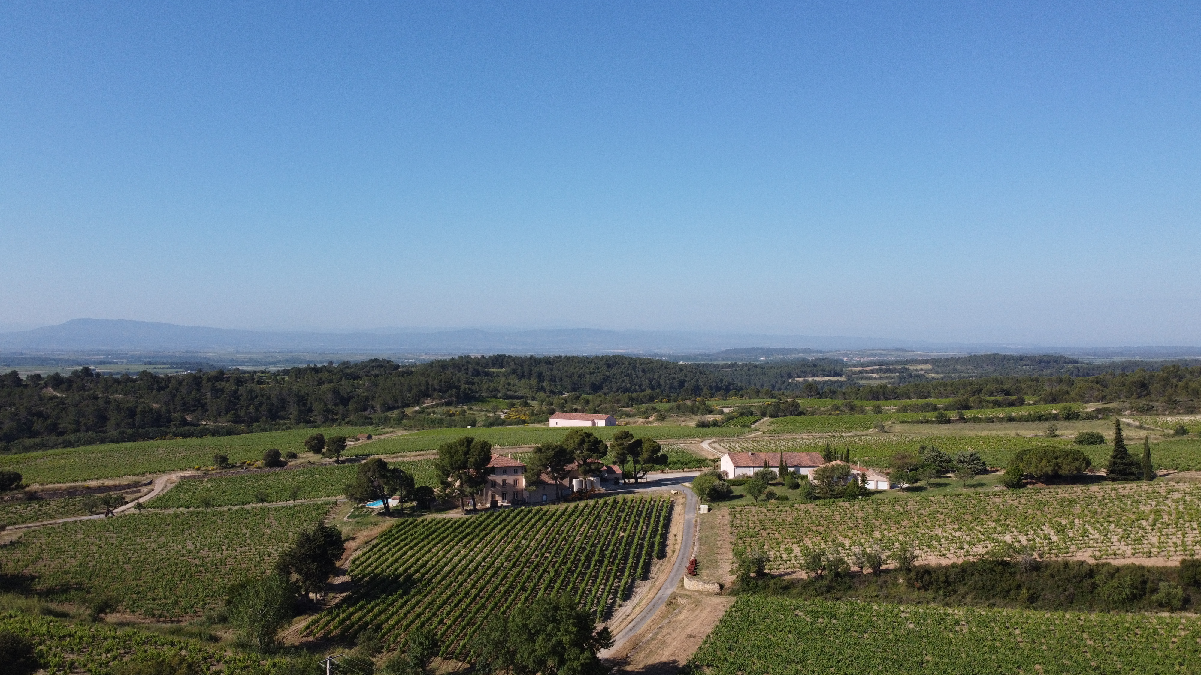 Organic vineyard estate for sale in Hérault, Languedoc