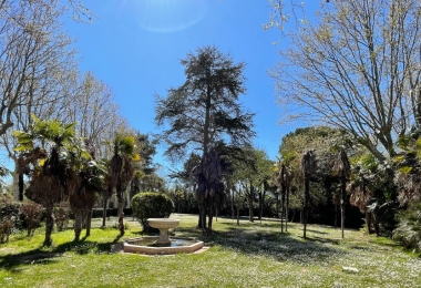Vue du parc du château