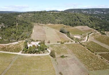 Organic vineyard estate for sale near to Montpellier 