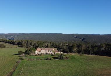 Vineyard estate for sale Hérault opportunity