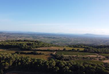 Vineyard estate for sale – 18 hectares of vines in the South of France – listed by Les Chemins du Sud, a network created by winemakers