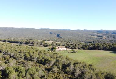 Wine estate for sale  AOP Languedoc Les Chemins du Sud 18 HA