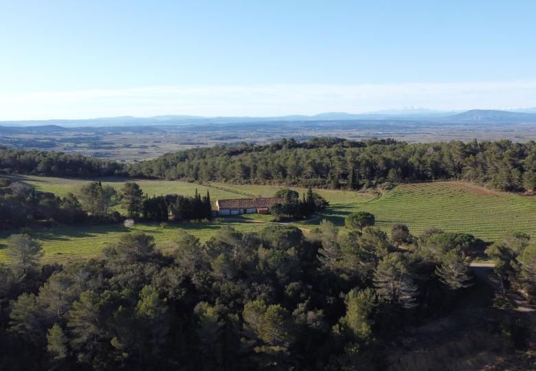 vente domaine viticole dans l'Hérault proposé par les chemins du sud