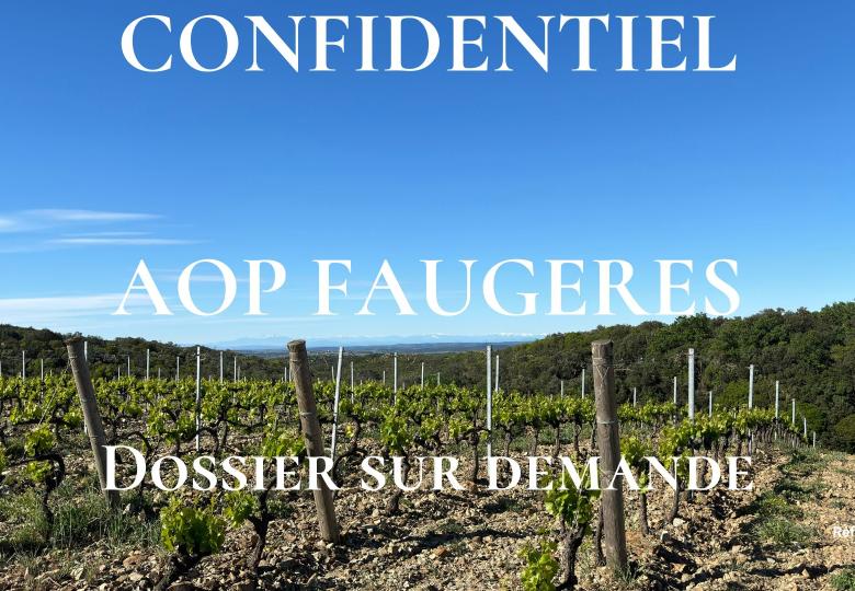 Vente propriété Viticole AOP Faugères