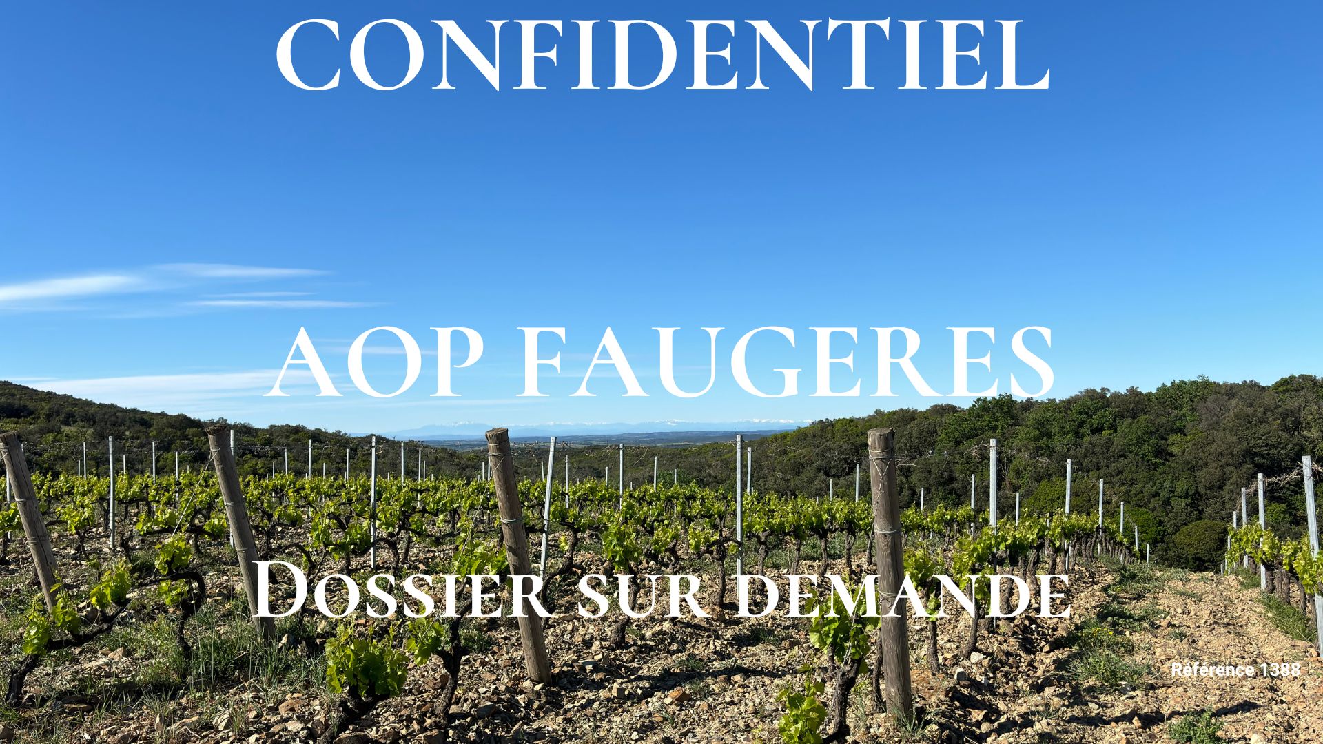 Sale of a vineyard estate in AOP Faugères