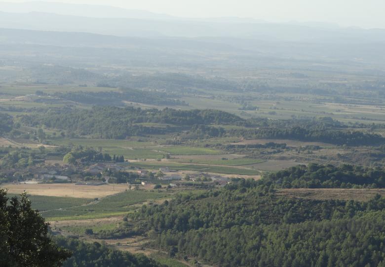 view sale  vineyard estate languedoc