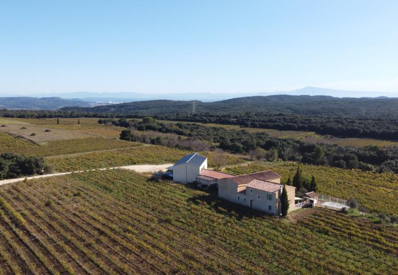 View of the vineyard estate Rhone Valley Gard