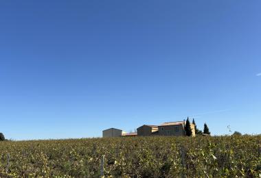 Building of a vineyard estate for sale in Rhone Valley.