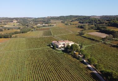 Vue domaine viticole bio vaucluse