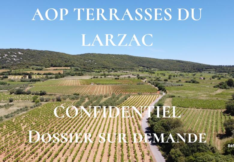 Domaine viticole à vendre Terrasses du Larzac Vignoble