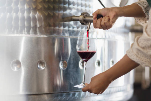Domaine viticole à vendre dans le Languedoc 