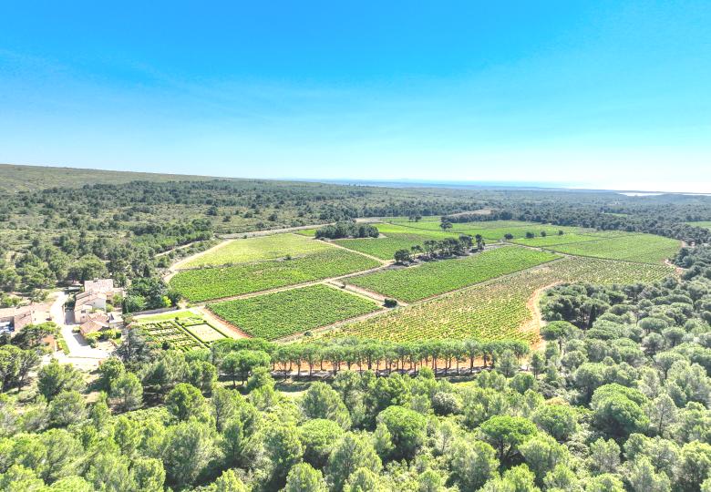 vente domaine viticole proche mer méditerranée bio vue mer