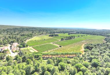 vente domaine viticole proche mer méditerranée bio vue mer