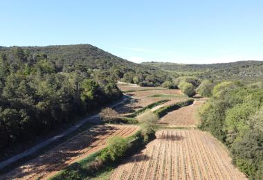 Domaine viticole à vendre dans le Gard vignoble 2