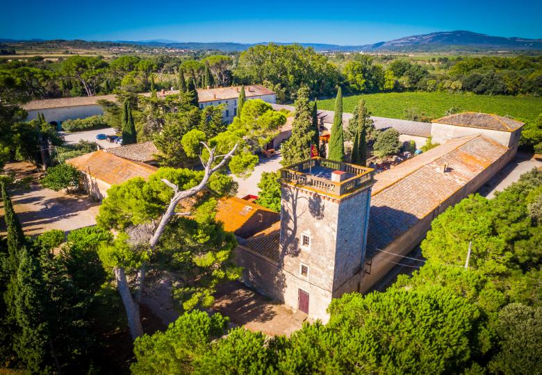 vente domaine viticole corbières Languedoc