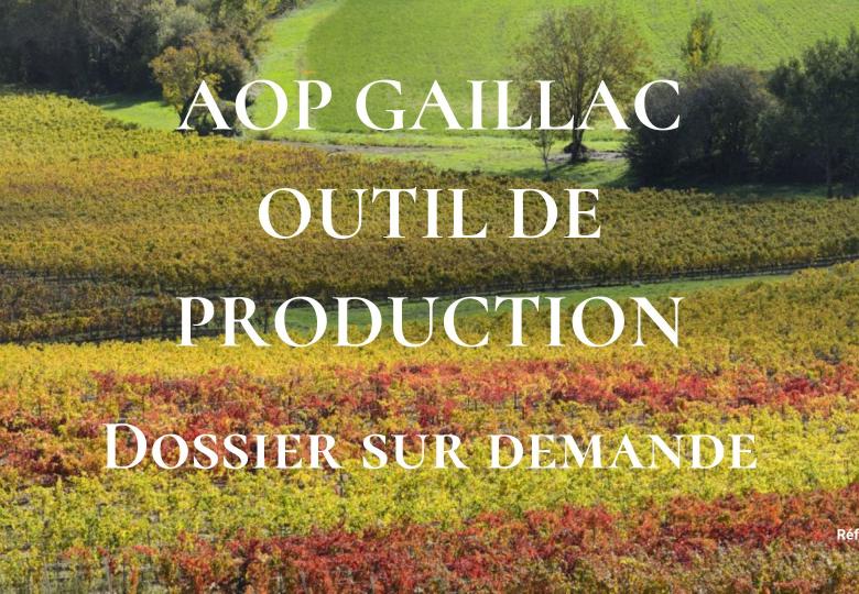 Domaine viticole à vendre AOP Gaillac