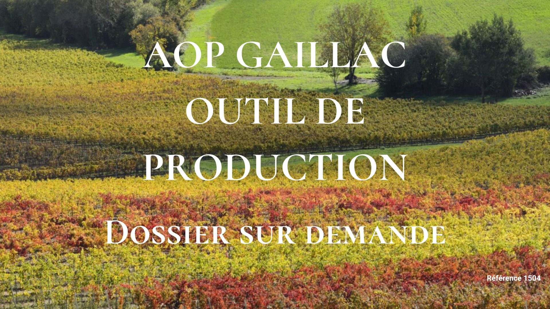 Domaine viticole à vendre AOP Gaillac