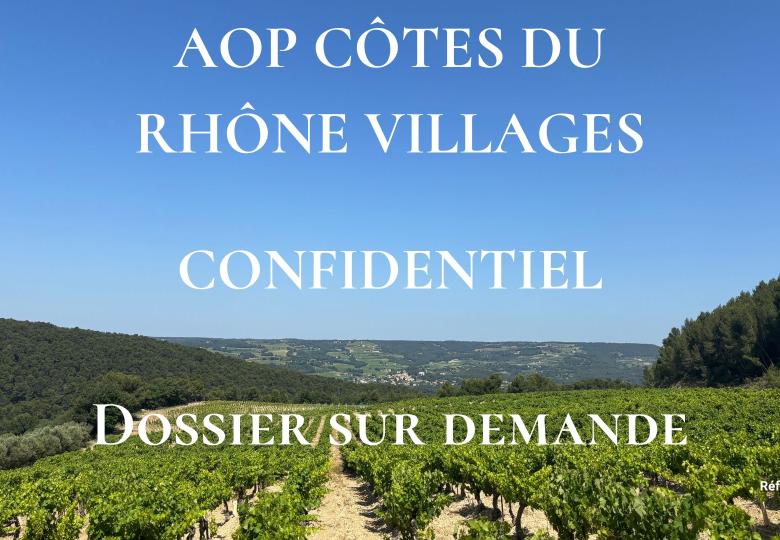 Domaine viticole à vendre dans le Vaucluse