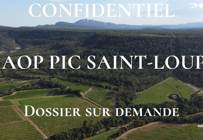Domaine viticole à vendre en AOP Pic Saint-Loup