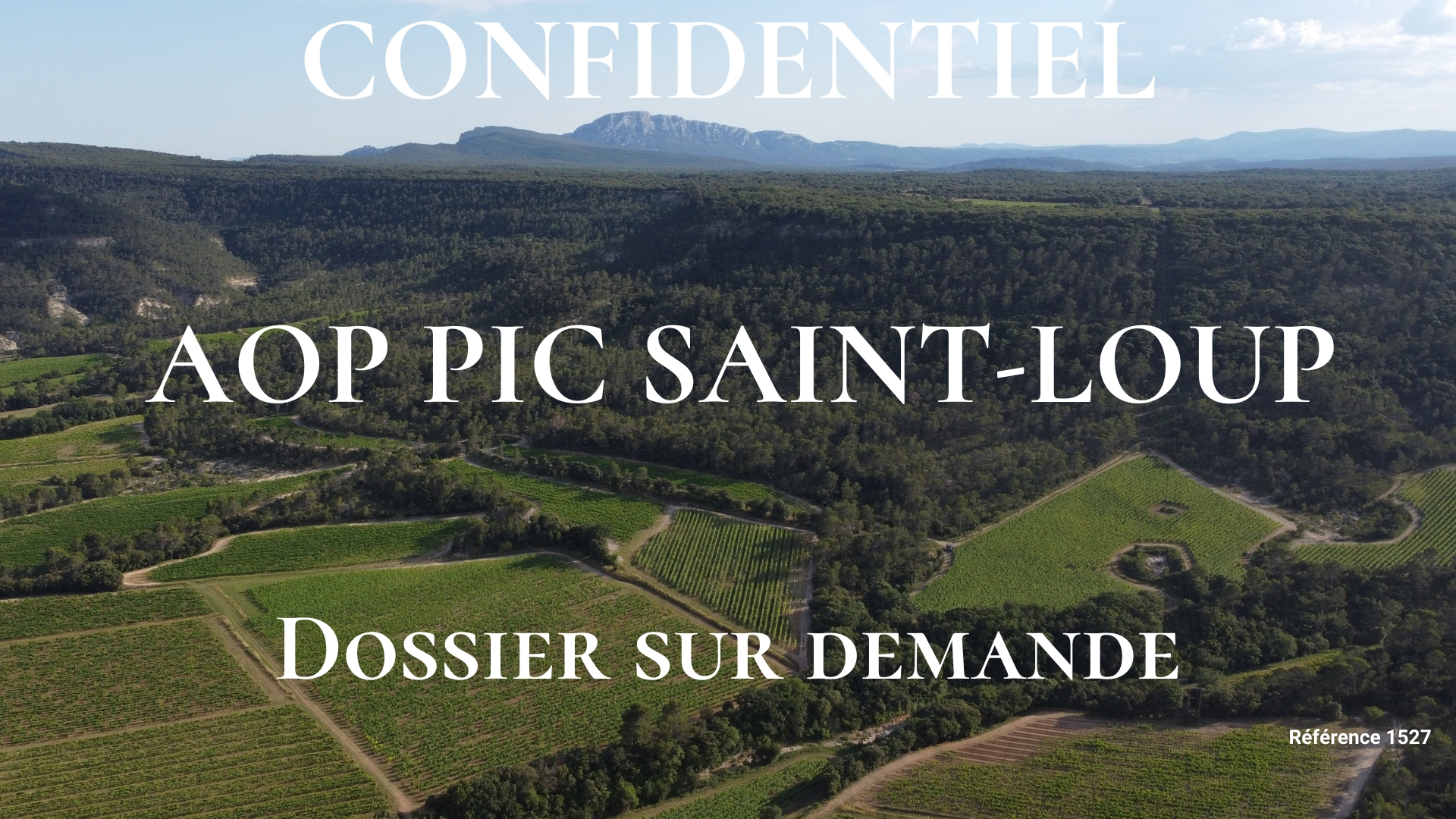 Domaine viticole à vendre en AOP Pic Saint-Loup