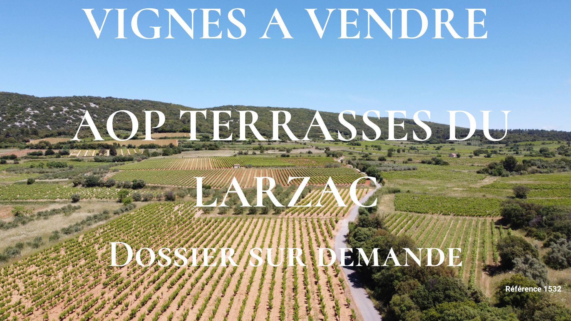 Vignes à vendre AOP Terrasses du Larzac