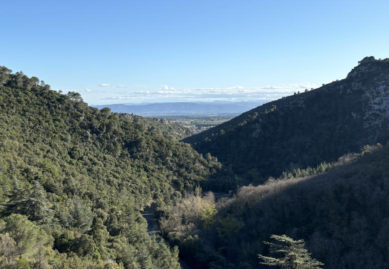 Foret à vendre dans l'aude