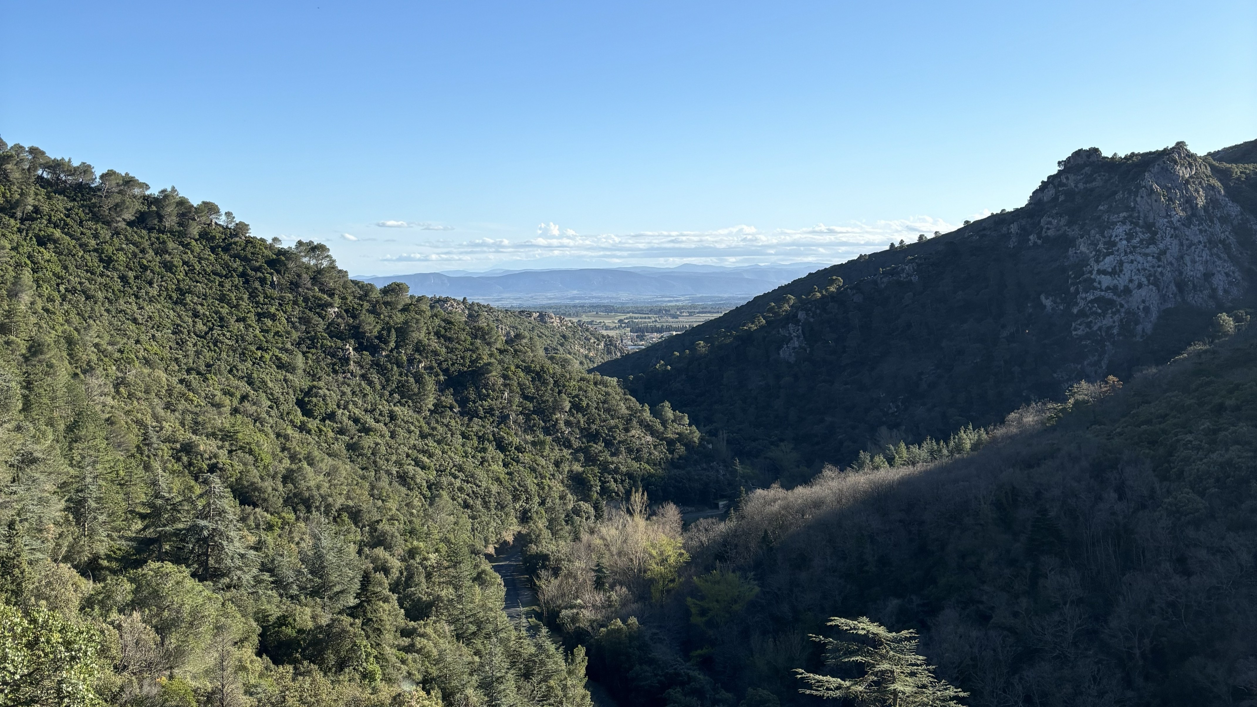Foret à vendre dans l'aude