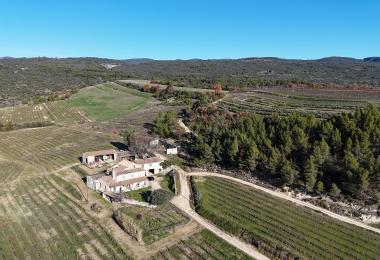 Domaine viticole et oleicole à vendre dans le Luberon Maison