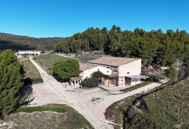 Domaine viticole et oleicole à vendre dans le Luberon Cave