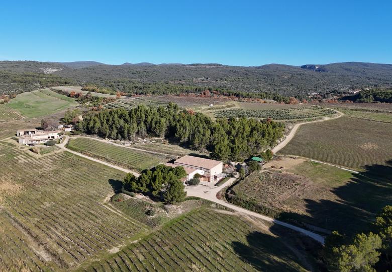 Domaine viticole et oleicole à vendre dans le Luberon