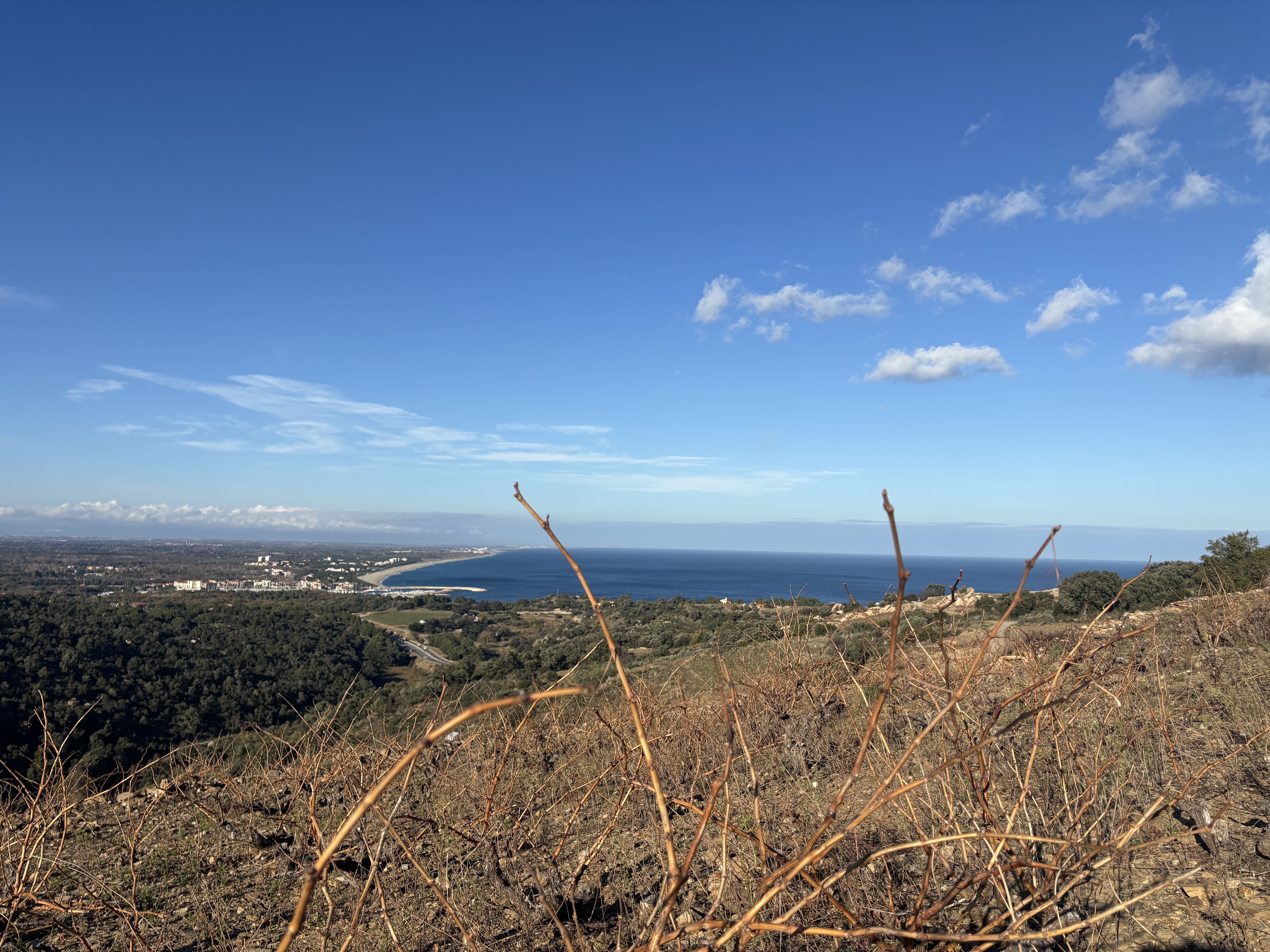 VIGNOBLE COLLIOURE BANYULSDE 1HA 