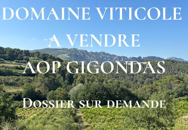 Domaine viticole a vendre AOP Gigondas
