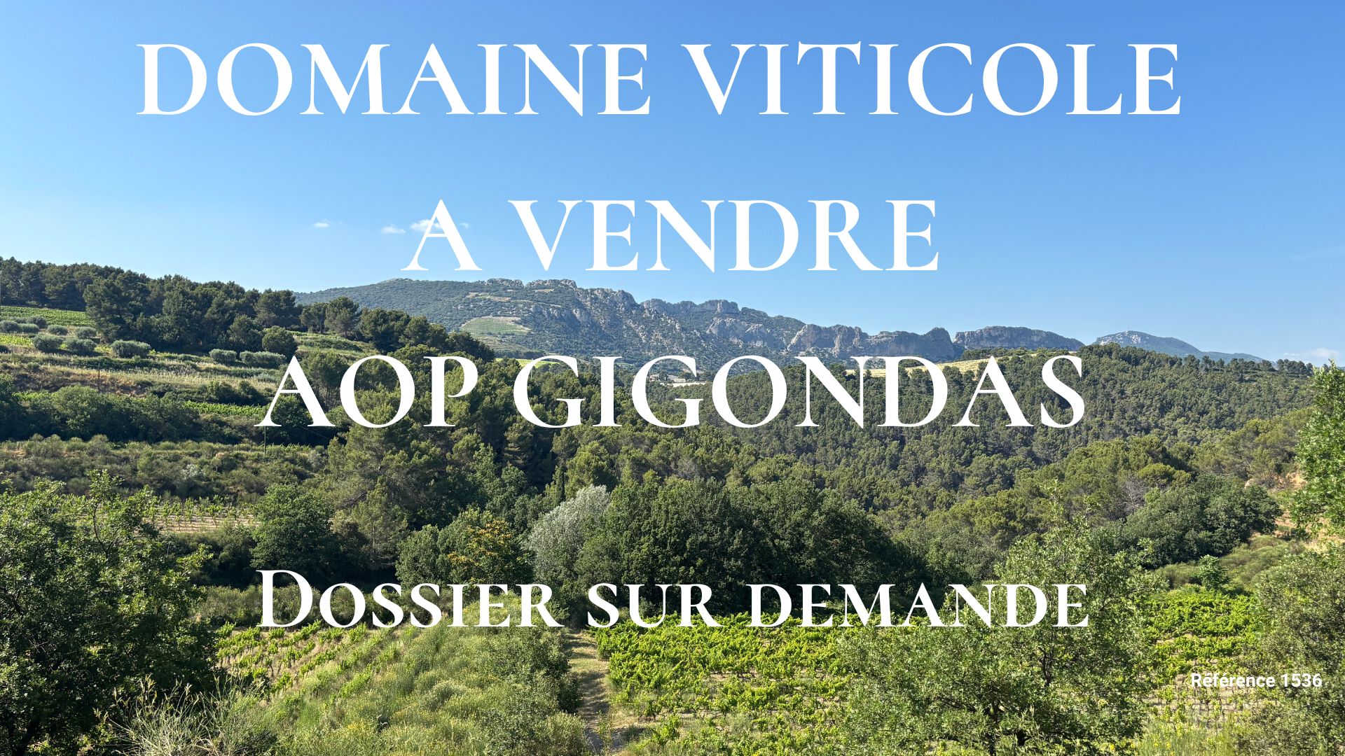 Domaine viticole a vendre AOP Gigondas