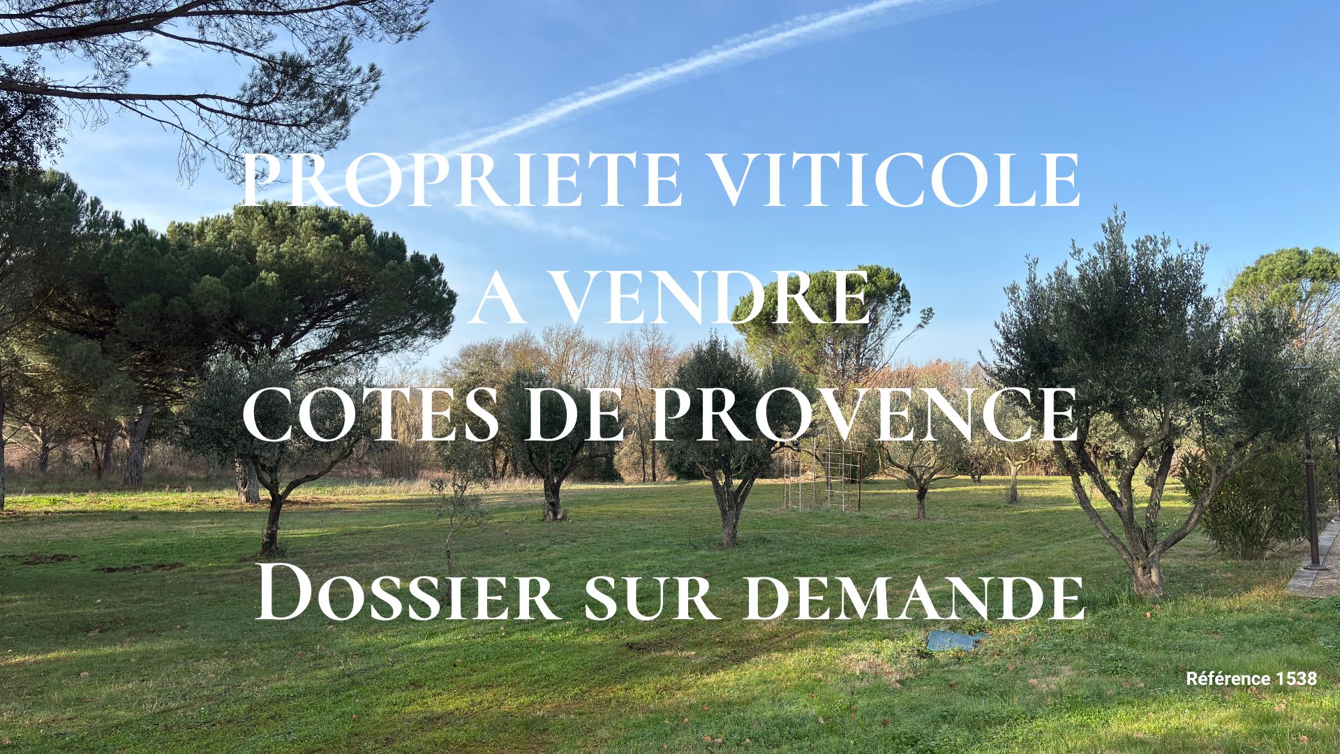 Domaine viticole à vendre en AOP Cotes de Provence