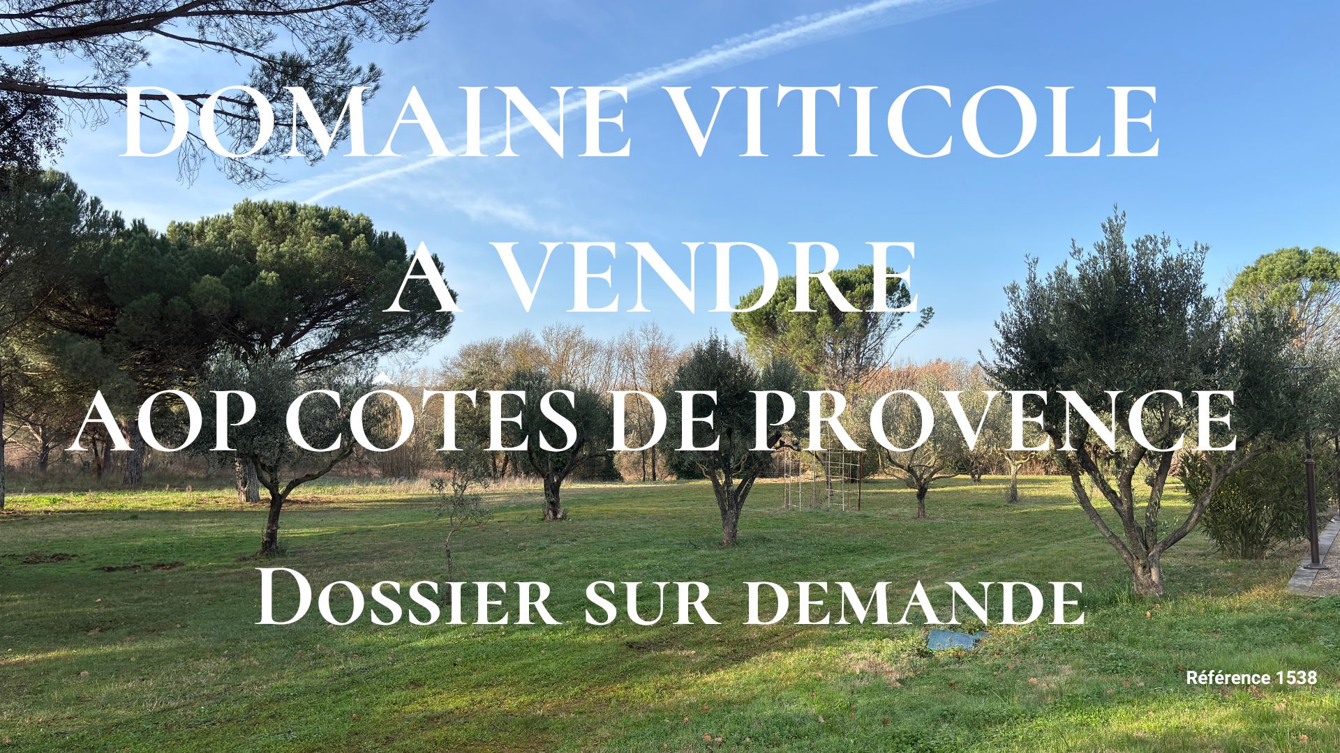 Domaine viticole à vendre en AOP Cotes de Provence