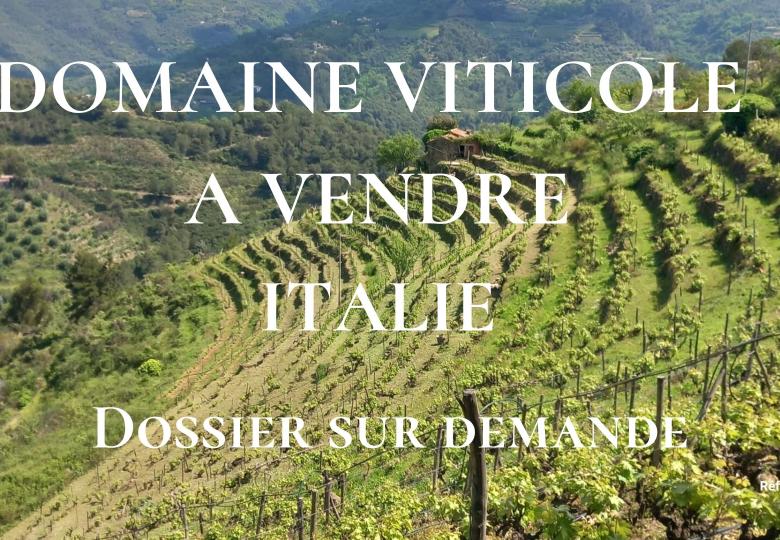 DOMAINE VITICOLE A VENDRE EN ITALIE VIGNES 1